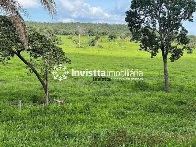Sítio / Chácara para Venda em Miranorte/TO Zona Rural