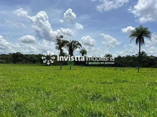 Sítio / Chácara para Venda em Miranorte/TO Zona Rural