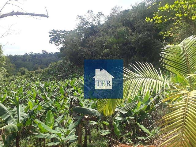 Sítio / Chácara para Venda em Miracatu/SP Área Rural 2 Quartos