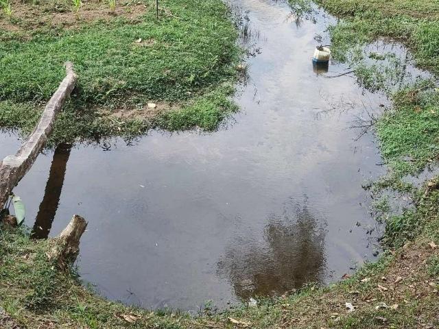Sítio / Chácara para Venda em Miracatu/SP Área Rural 4 Quartos