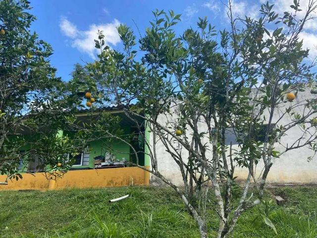 Sítio / Chácara para Venda em Miracatu/SP Centro