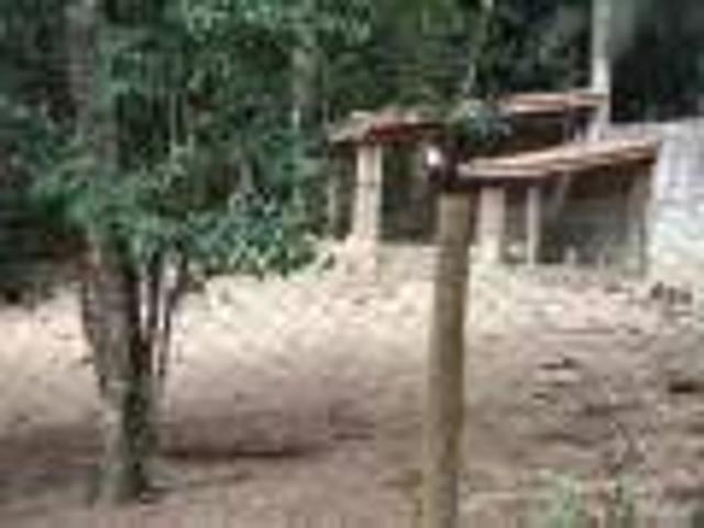 Sítio / Chácara para Venda em Miracatu/SP Santa Rita do Ribeira 4 Quartos