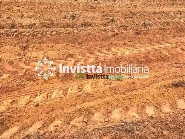 Sítio / Chácara para Venda em Miracema do Tocantins/TO Setor Central