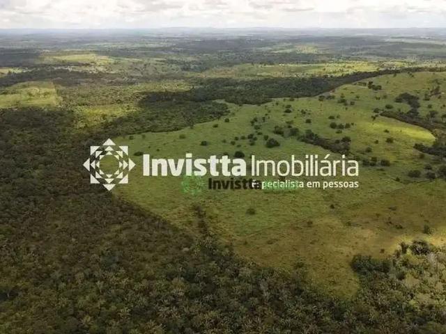 Sítio / Chácara para Venda em Miracema do Tocantins/TO Zona Rural