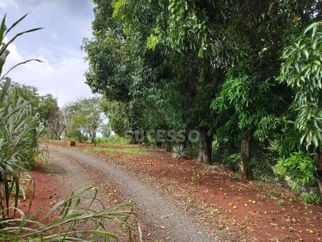 Sítio / Chácara para Venda em Missal/PR Zona Rural