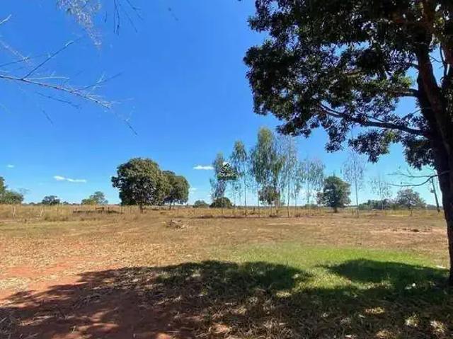 Sítio / Chácara para Venda em Mundo Novo/GO Zona Rural 3 Quartos