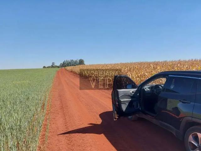 Sítio / Chácara para Venda em Munhoz de Melo/PR Zona Rural 1 Quartos