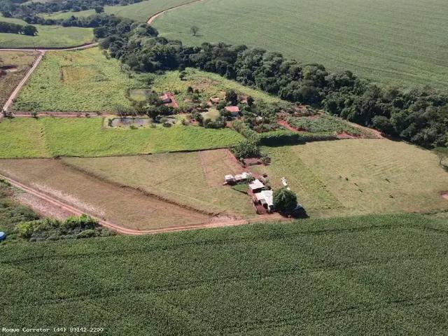Sítio / Chácara para Venda em Munhoz de Melo/PR Zona Rural 1 Quartos