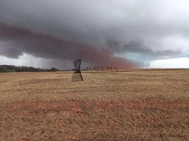 Sítio / Chácara para Venda em Munhoz de Melo/PR Zona Rural