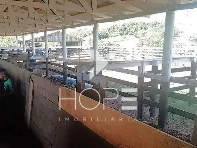Sítio / Chácara para Venda em Nova Tebas/PR Zona Rural 1 Quartos