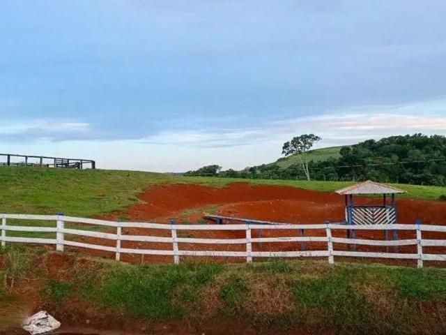 Sítio / Chácara para Venda em Nova Tebas/PR Zona Rural