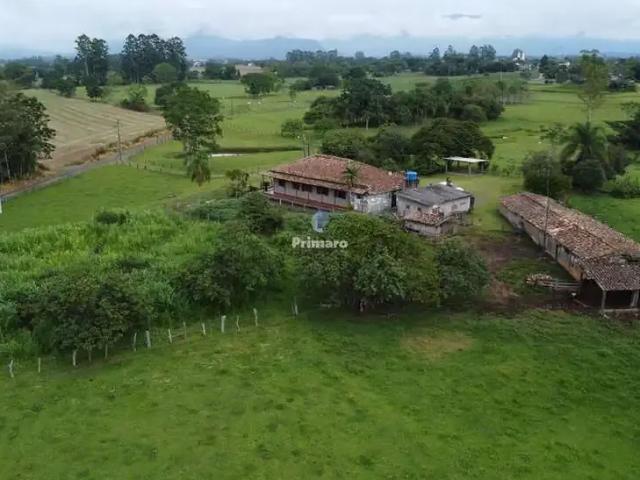 Sítio / Chácara para Venda em Nova Veneza/SC Zona Rural 5 Quartos