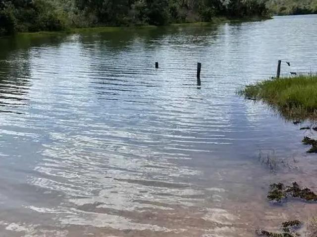 Sítio / Chácara para Venda em Nova Aurora/GO Zona Rural