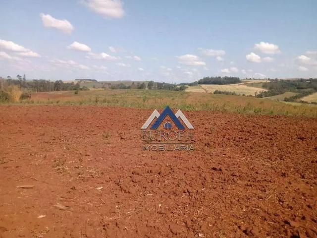 Sítio / Chácara para Venda em Nova Fátima/PR Zona Rural 3 Quartos