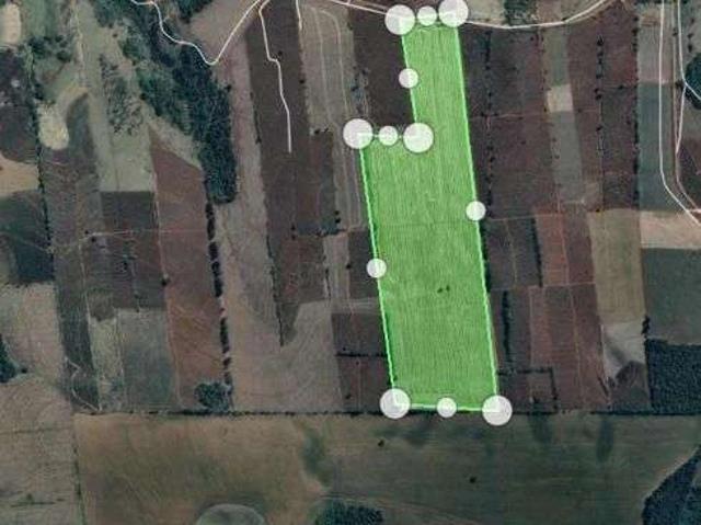 Sítio / Chácara para Venda em Nova Fátima/PR Zona Rural