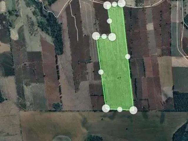 Sítio / Chácara para Venda em Nova Fátima/PR Zona Rural