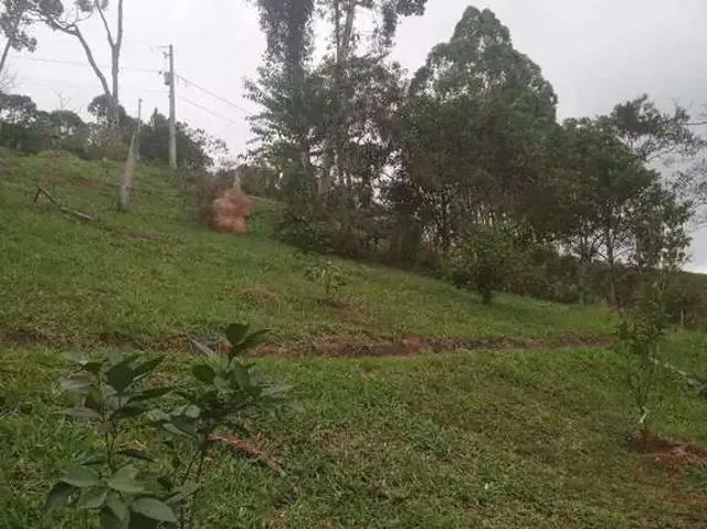 Sítio / Chácara para Venda em Nova Friburgo/RJ Campo do Coelho 4 Quartos