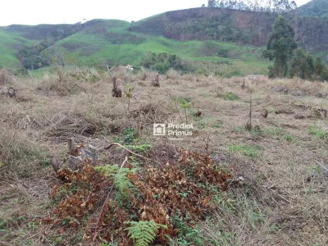 Sítio / Chácara para Venda em Nova Friburgo/RJ Campo do Coelho