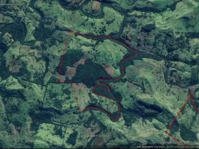 Sítio / Chácara para Venda em Nova Laranjeiras/PR Centro