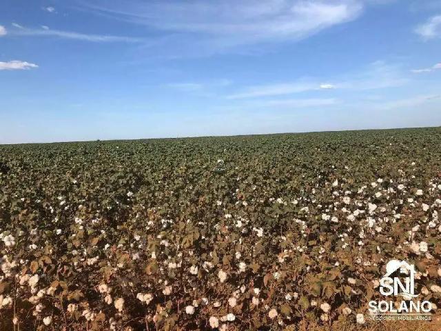 Sítio / Chácara para Venda em Nova Mutum/MT Zona Rural 3 Quartos