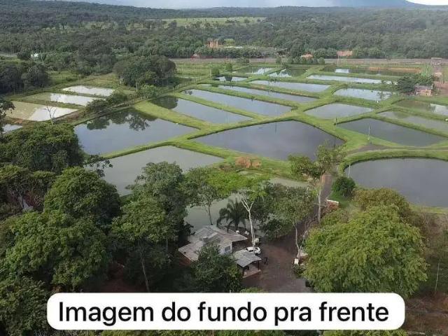 Sítio / Chácara para Venda em Nova Olímpia/MT Zona Rural