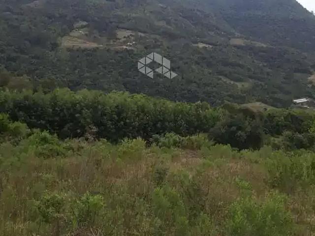 Sítio / Chácara para Venda em Nova Petrópolis/RS Fazenda Pirajá