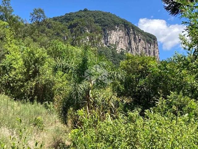 Sítio / Chácara para Venda em Nova Petrópolis/RS Linha Brasil