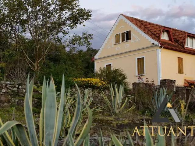 Sítio / Chácara para Venda em Nova Petrópolis/RS Linha Brasil