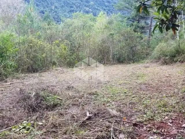 Sítio / Chácara para Venda em Nova Petrópolis/RS Linha Brasil
