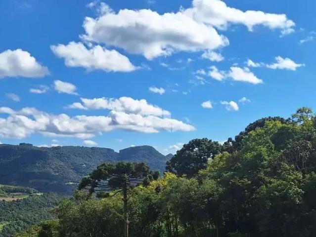 Sítio / Chácara para Venda em Nova Petrópolis/RS Linha Brasil