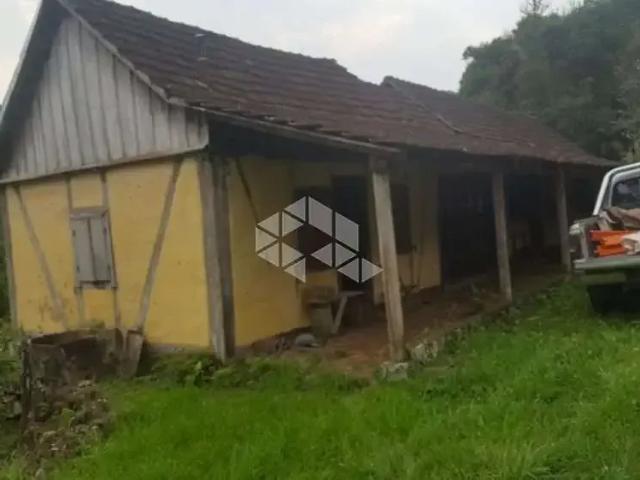Sítio / Chácara para Venda em Nova Petrópolis/RS Linha Olinda 3 Quartos
