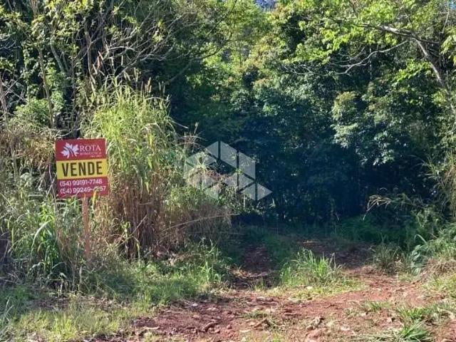 Sítio / Chácara para Venda em Nova Petrópolis/RS Linha Olinda