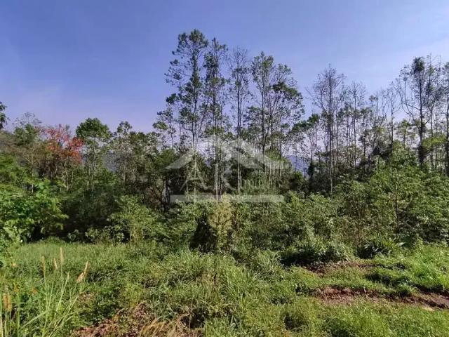Sítio / Chácara para Venda em Nova Petrópolis/RS Linha Pirajá Alta 1 Quartos