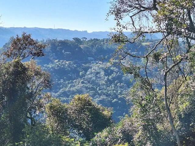 Sítio / Chácara para Venda em Nova Petrópolis/RS Linha Pirajá Alta