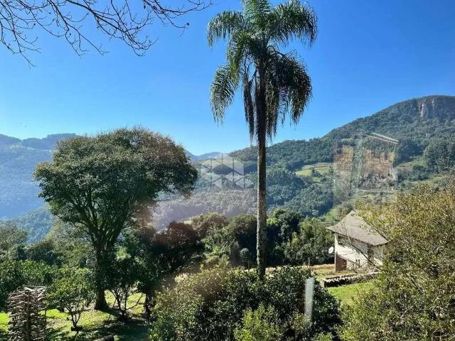 Sítio / Chácara para Venda em Nova Petrópolis/RS Linha Pirajá Baixa 4 Quartos