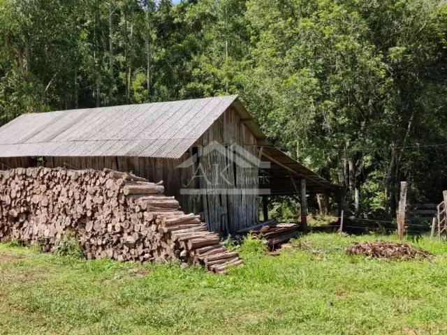Sítio / Chácara para Venda em Nova Petrópolis/RS Nova Harmonia 2 Quartos