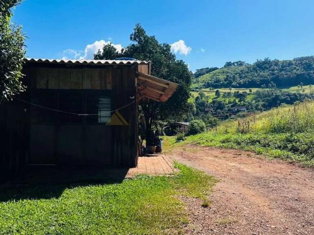 Sítio / Chácara para Venda em Nova Petrópolis/RS São Jacó