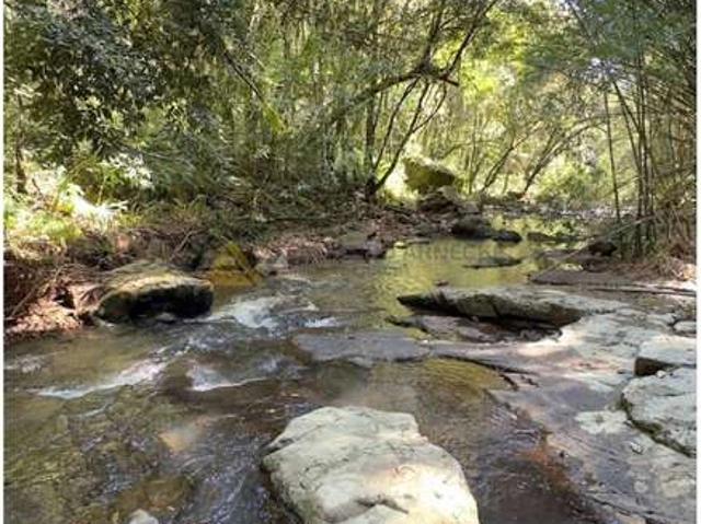 Sítio / Chácara para Venda em Nova Petrópolis/RS São Jacó