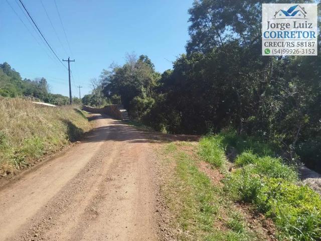 Sítio / Chácara para Venda em Nova Petrópolis/RS Pinhal Alto