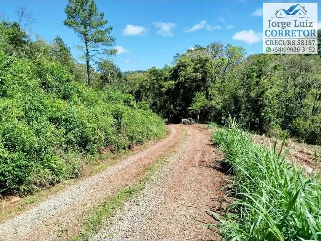 Sítio / Chácara para Venda em Nova Petrópolis/RS Pinhal Alto