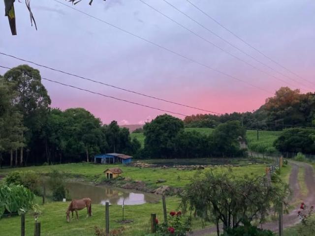 Sítio / Chácara para Venda em Nova Petrópolis/RS Treze Colonias 4 Quartos