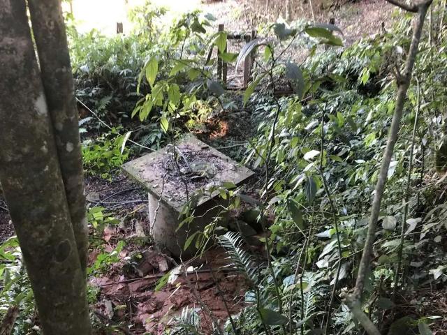 Sítio / Chácara para Venda em Nova Petrópolis/RS Vila Germania