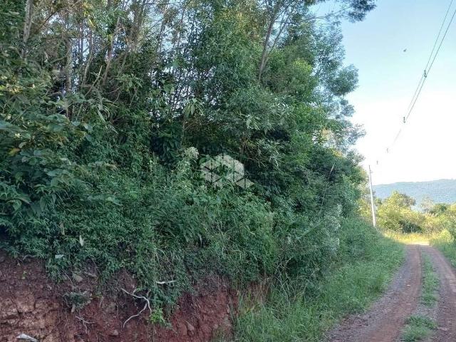 Sítio / Chácara para Venda em Nova Petrópolis/RS Vila Germania