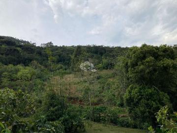 Rua Nova Olinda, Vila Paiva, São Paulo, São Paulo, São Paulo