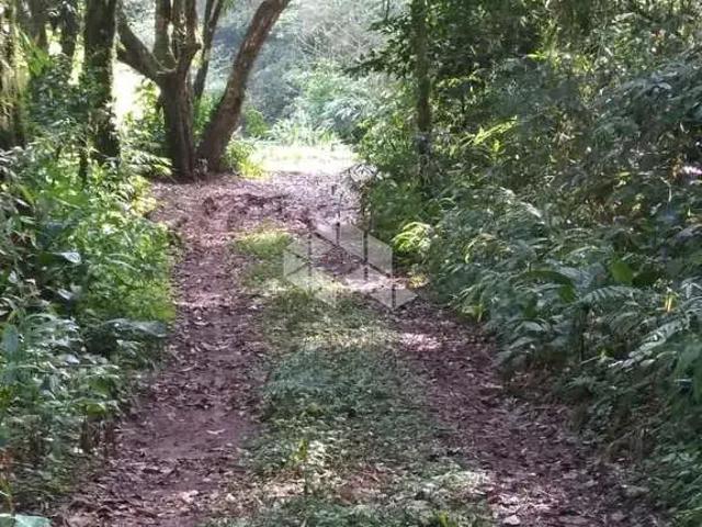 Sítio / Chácara para Venda em Nova Petrópolis/RS Zona Rural