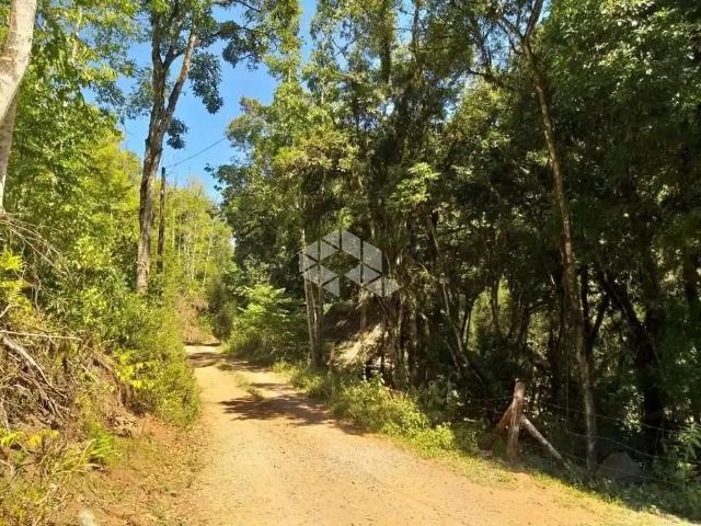 Sítio / Chácara para Venda em Nova Petrópolis/RS Zona Rural