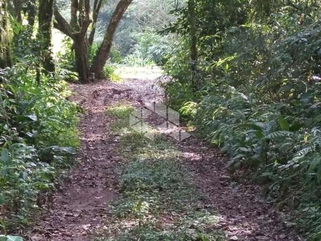 Sítio / Chácara para Venda em Nova Petrópolis/RS Zona Rural