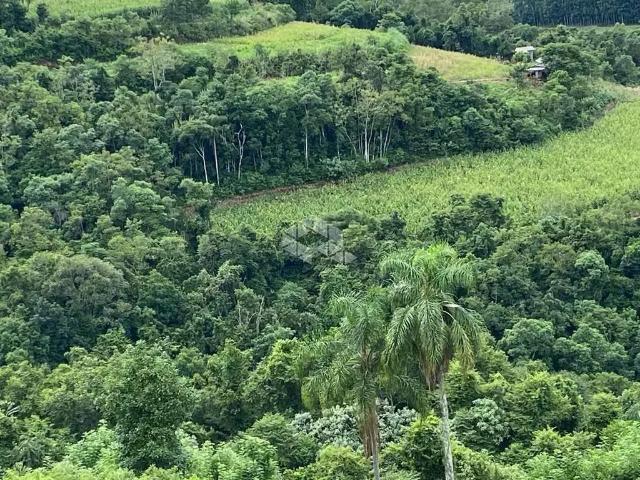 Sítio / Chácara para Venda em Nova Petrópolis/RS Zona Rural