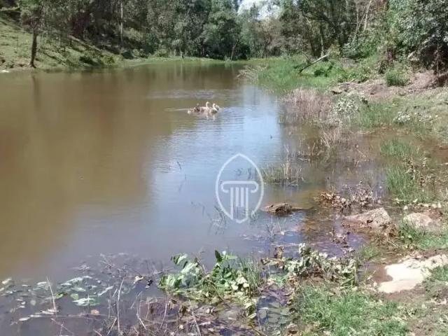 Sítio / Chácara para Venda em Nova Santa Bárbara/PR Zona Rural