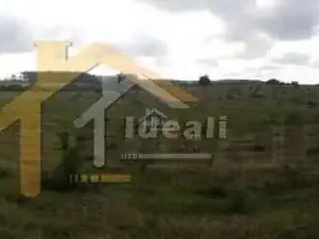 Sítio / Chácara para Venda em Nova Santa Rita/RS Berto Círio 1 Quartos